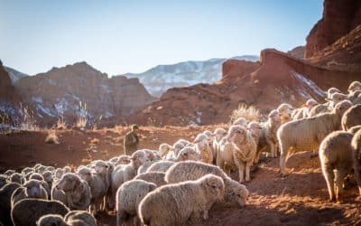 Becoming labourers