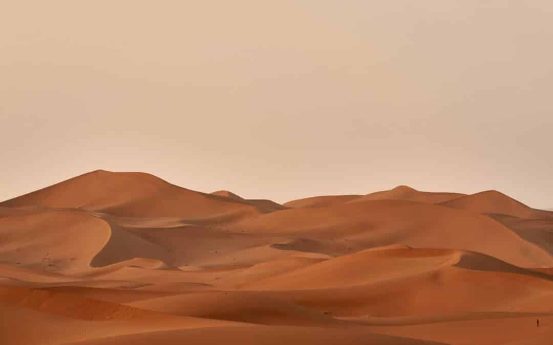 Discipleship in Dune