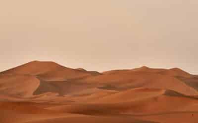 Discipleship in Dune