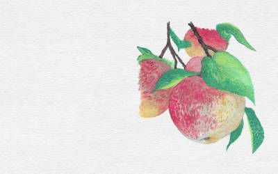 Fruit in Action: Peace