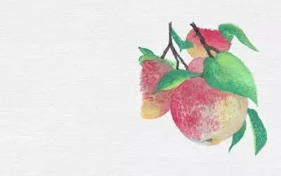 Fruit in Action: Peace