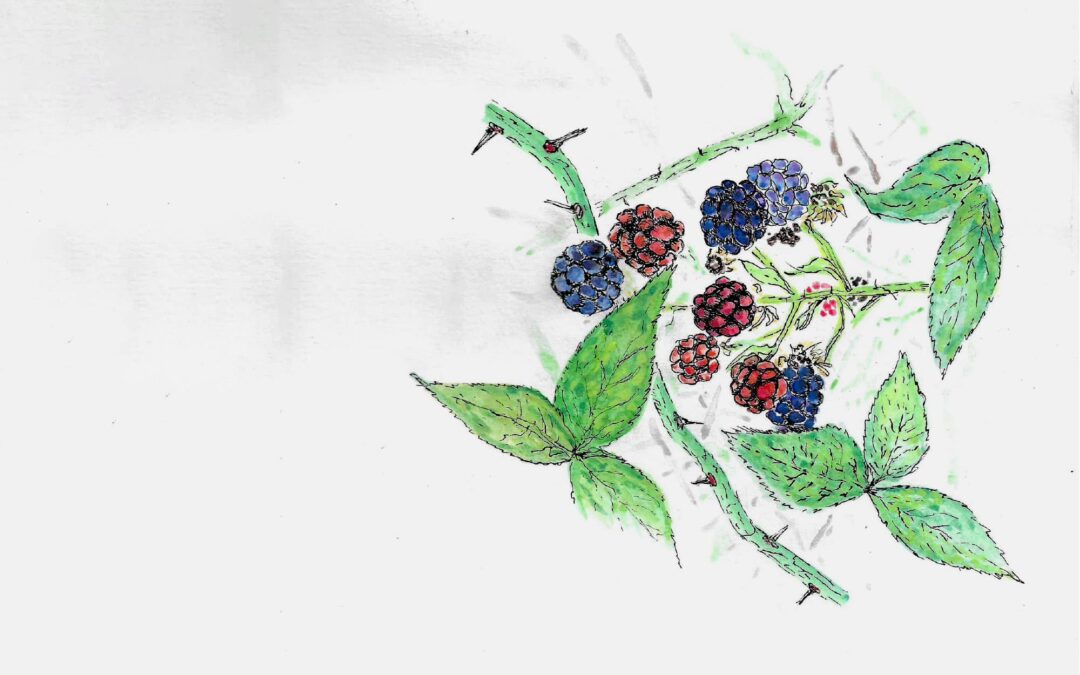 Fruit in Action: Joy