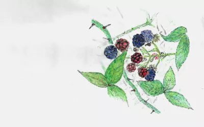 Fruit in Action: Joy