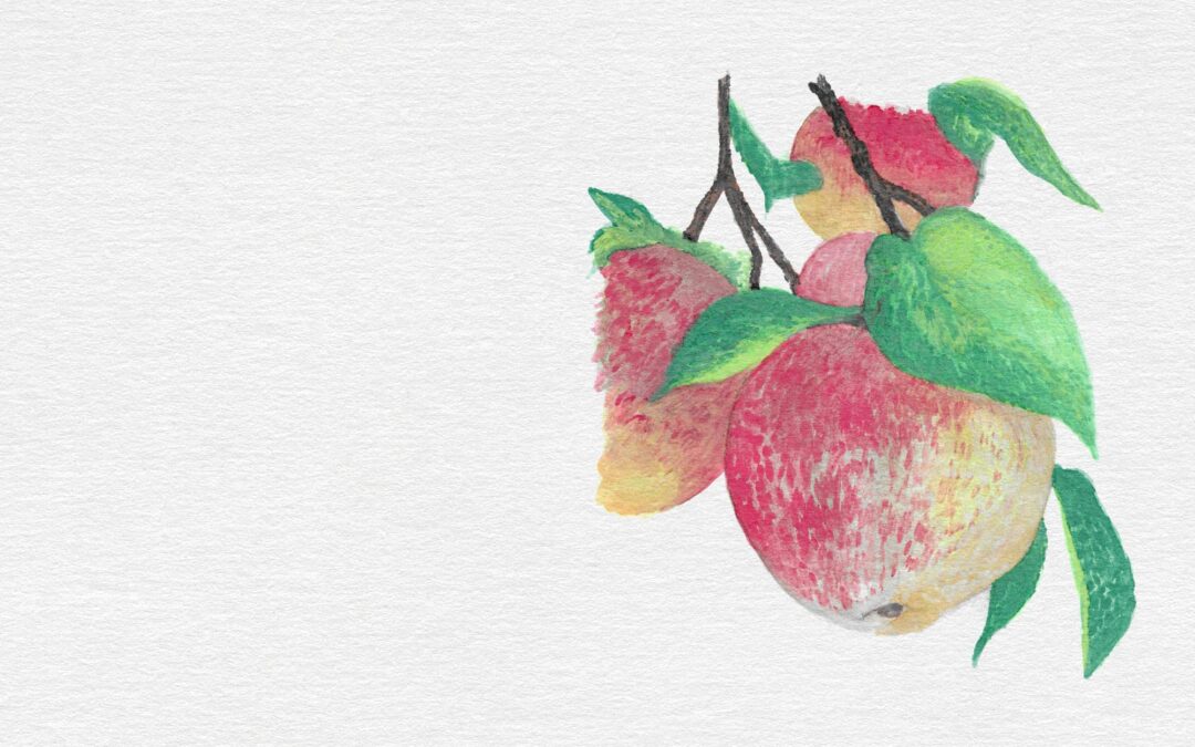 Fruit in Action: Peace