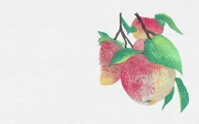 Fruit in Action: Peace
