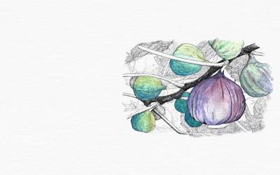 Fruit in Action: Patience