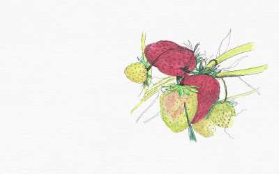 Fruit in Action: Kindness