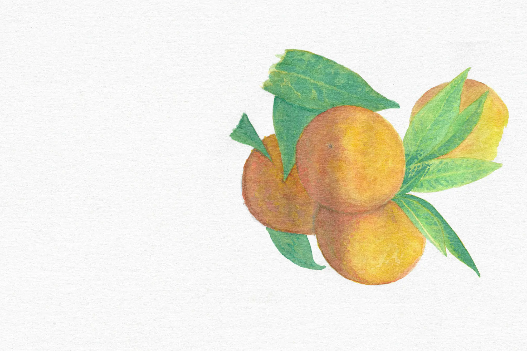 Fruit in Action: Faithfulness