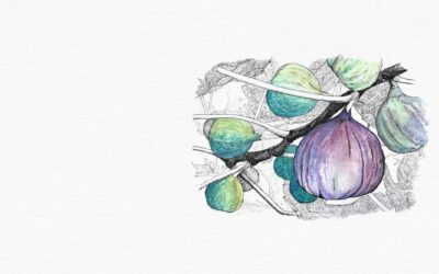 Fruit in Action: Patience