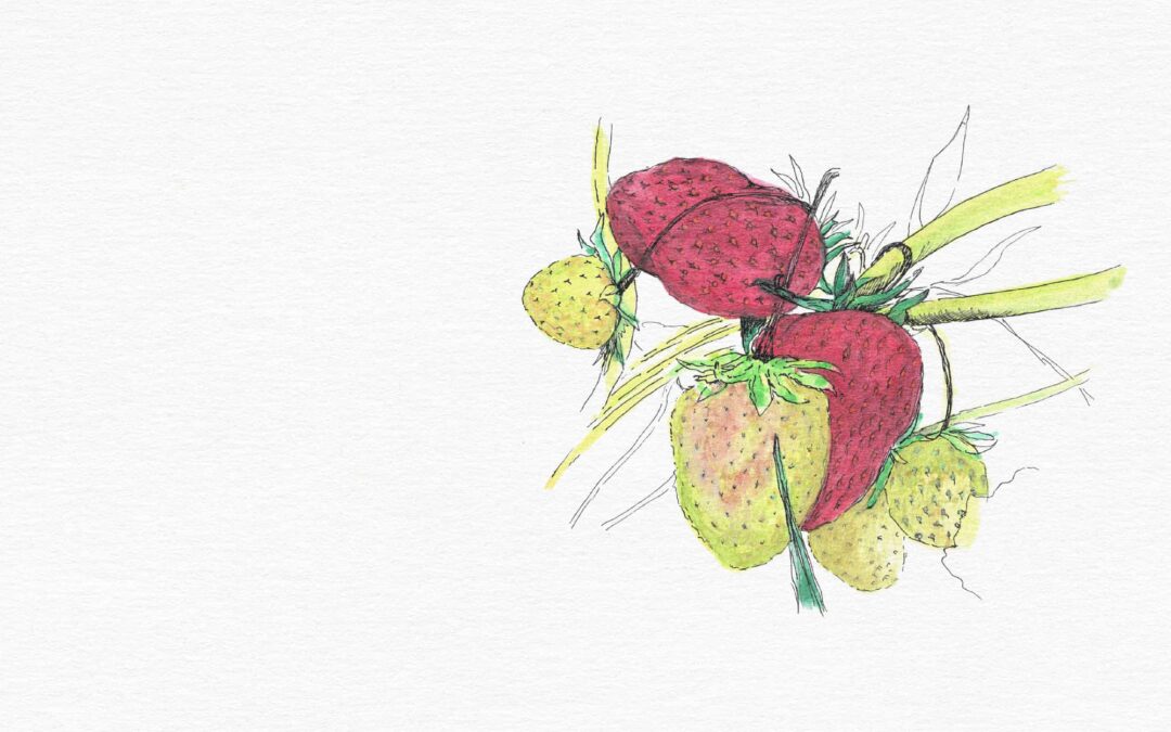 Fruit in Action: Kindness
