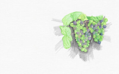 Fruit in Action: Goodness