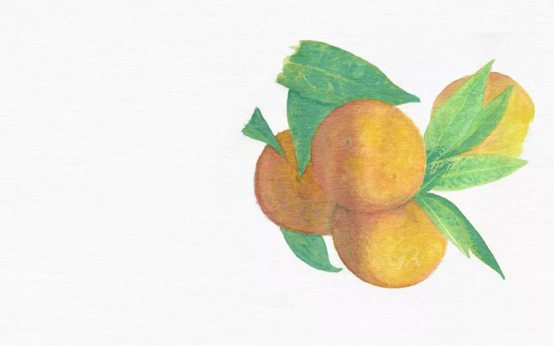 Fruit in Action: Faithfulness